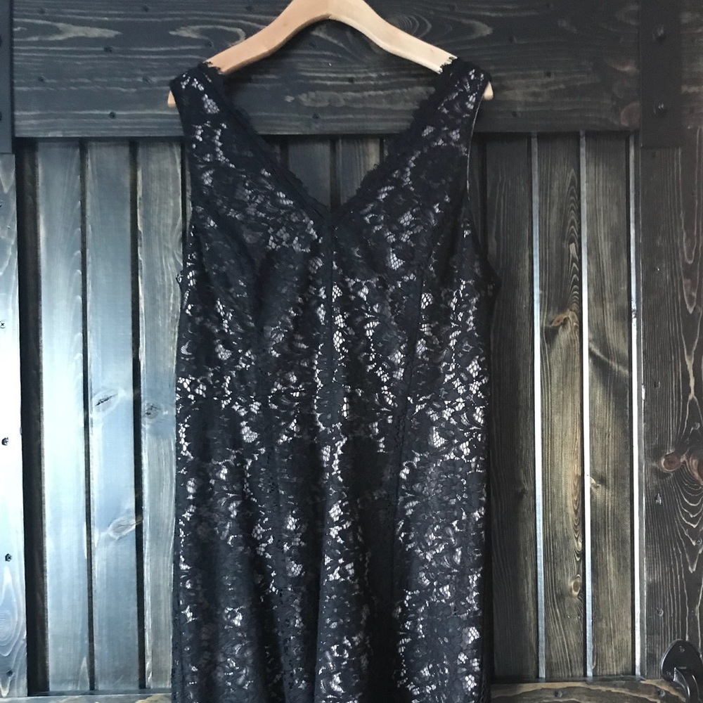 Loft Lace Skater Dress